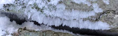 Rime ice at Greensboro Ridge